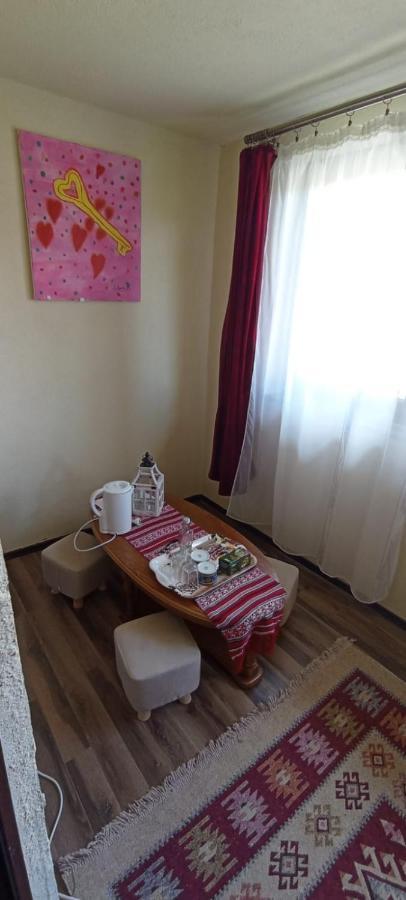 Dumi'S House Apartment Borşa Екстериор снимка