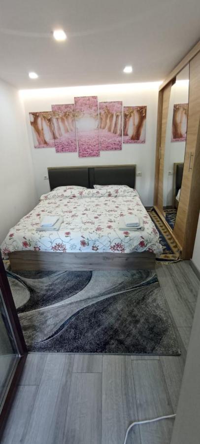 Dumi'S House Apartment Borşa Екстериор снимка